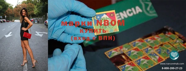 ПСИЛОЦИБИНОВЫЕ ГРИБЫ Верея
