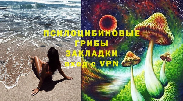 ПСИЛОЦИБИНОВЫЕ ГРИБЫ Верея