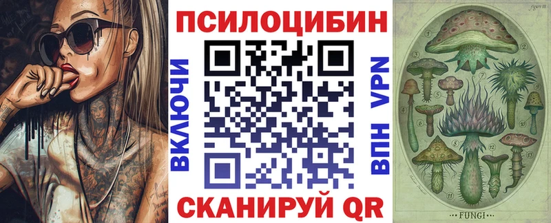 Псилоцибиновые грибы Psilocybe  Купить где  Белый 